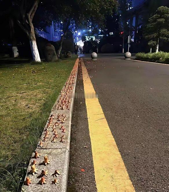 这人是有多闲啊