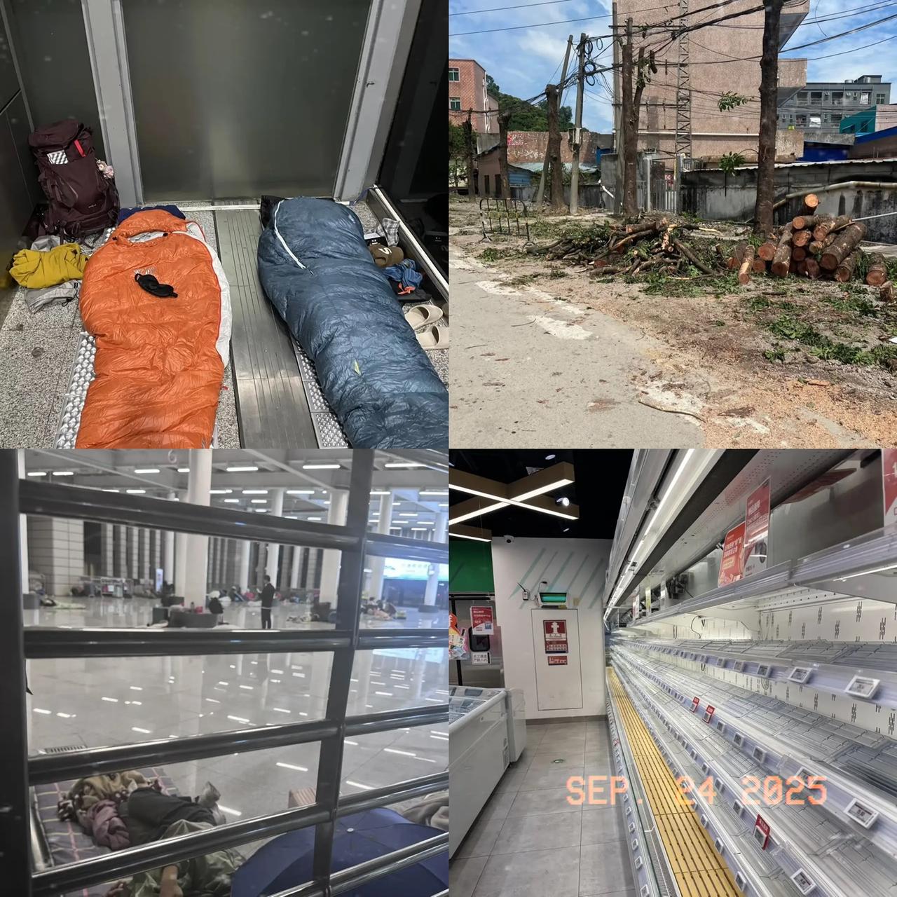 深圳这次台风没来之前拼命砍树！一下子可把道路两旁的树砍得光秃秃的，真不好看！
