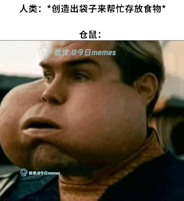 再来（9gag）今日meme今日memes