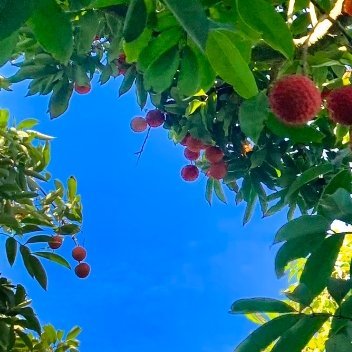 每日一善 阳光信用每日一善 日行一善，积善成德。人要有一颗善良的心、宽广的心、美