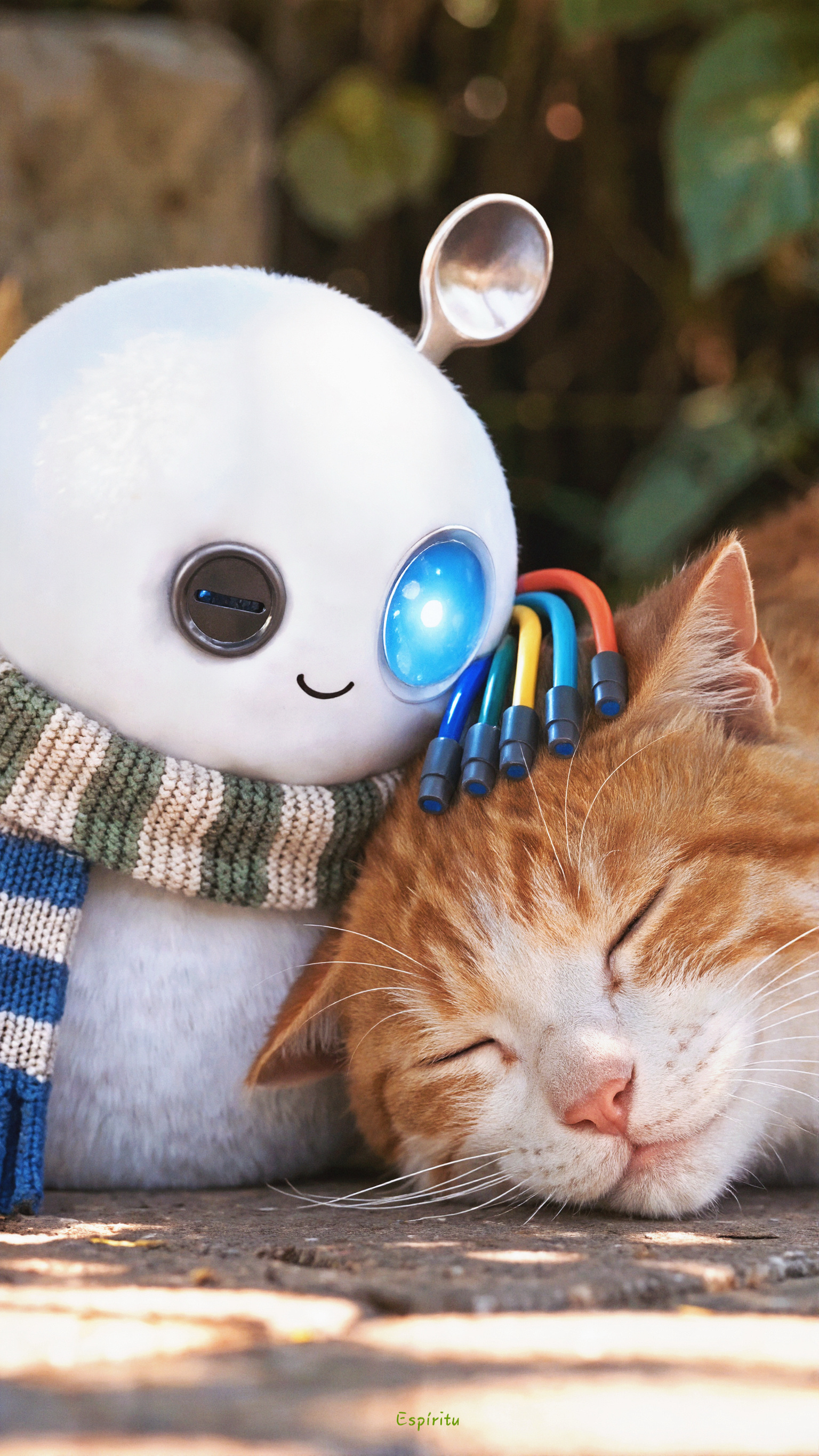 蔡徐坤 ​​​｜coldyColdy与猫猫☃️·🐱 两小只萌化我了​​​