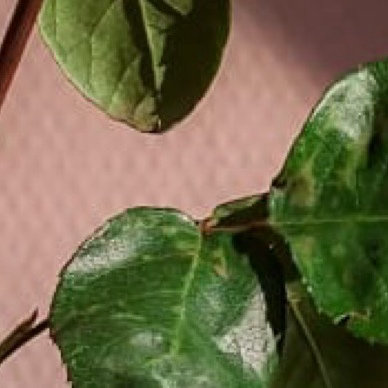 人人公益节 丨人人公益节 真正的善良，是看见他人的不易，并愿意用自己微小的光芒，