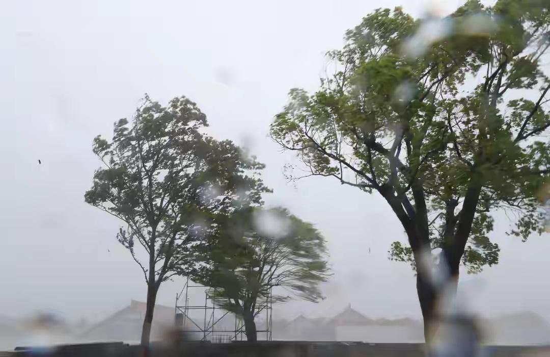 其一·七绝·风雨同舟

狂飙卷地雨如倾，浊浪排空势未平。
陌路相扶伸援手，微光点