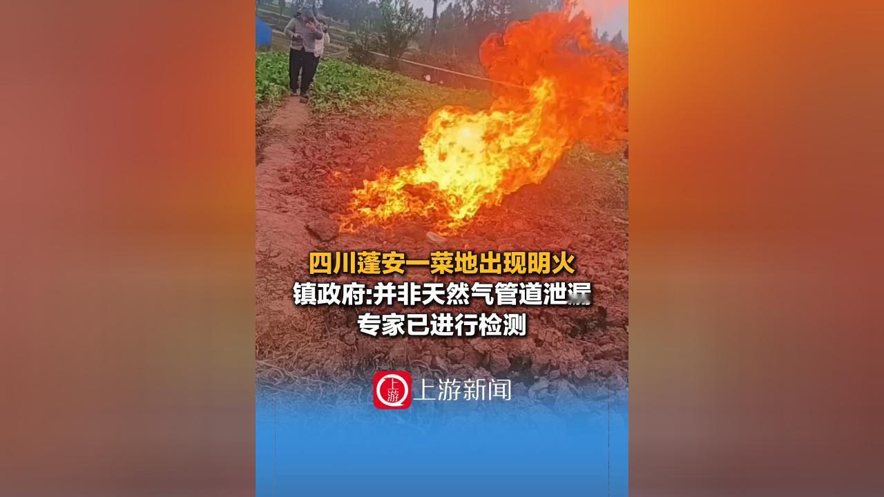 四川蓬安出了件怪事！12月29号起，一块菜地突然冒火，连下雨都没浇灭，烧了7天还