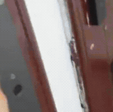 你能想象吗？一位女子带着女儿，跨越了整整3200公里的路程！这可不是一般的旅行，