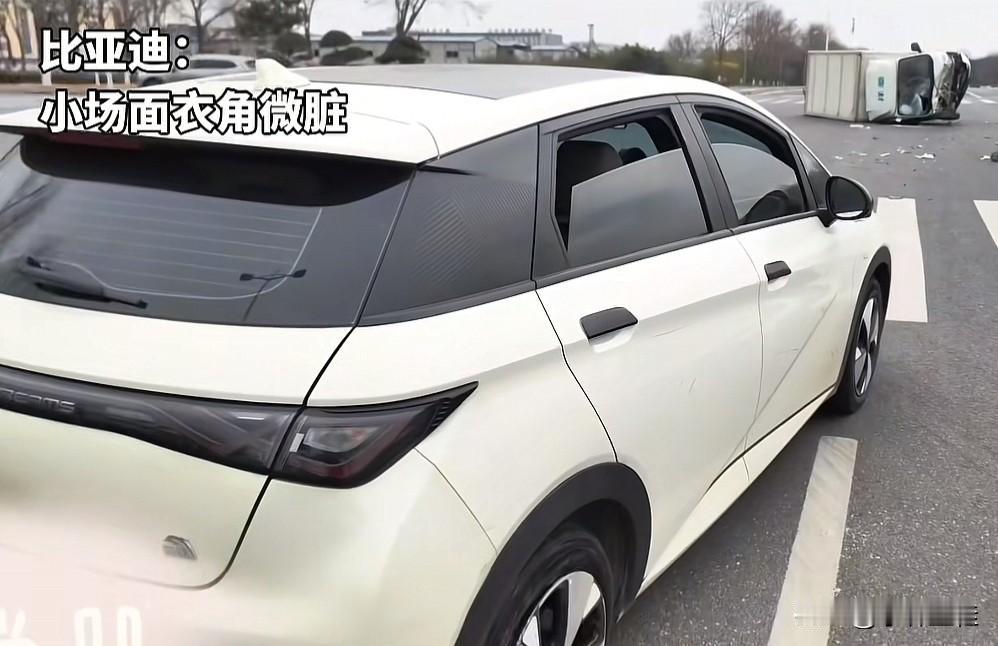 比亚迪海豚：“箱货大哥，对、对、对不起，一不小心又把你chuang翻了！”
厢货