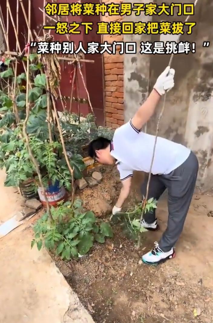 近日，河南一男子回老家，刚走到大门口傻眼了……
男子门口、院墙周边，全被邻居种满