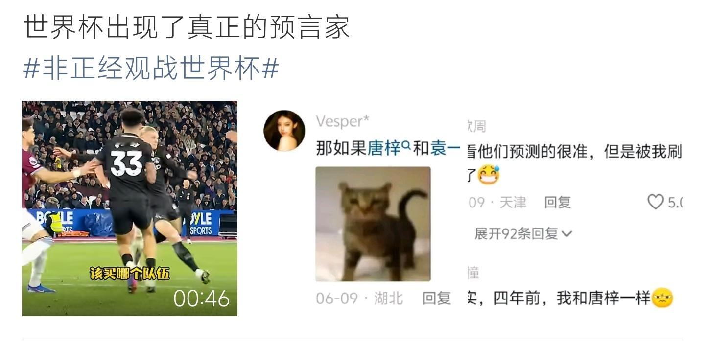 世界杯出现了真正的预言家世界杯出现了真正的预言家来了呀！你有去看吗？ 