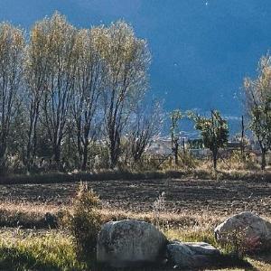 早安心语 新的一天，愿你的心情如晨光般温暖，脚步如清风般轻盈。无论今天有什么计划