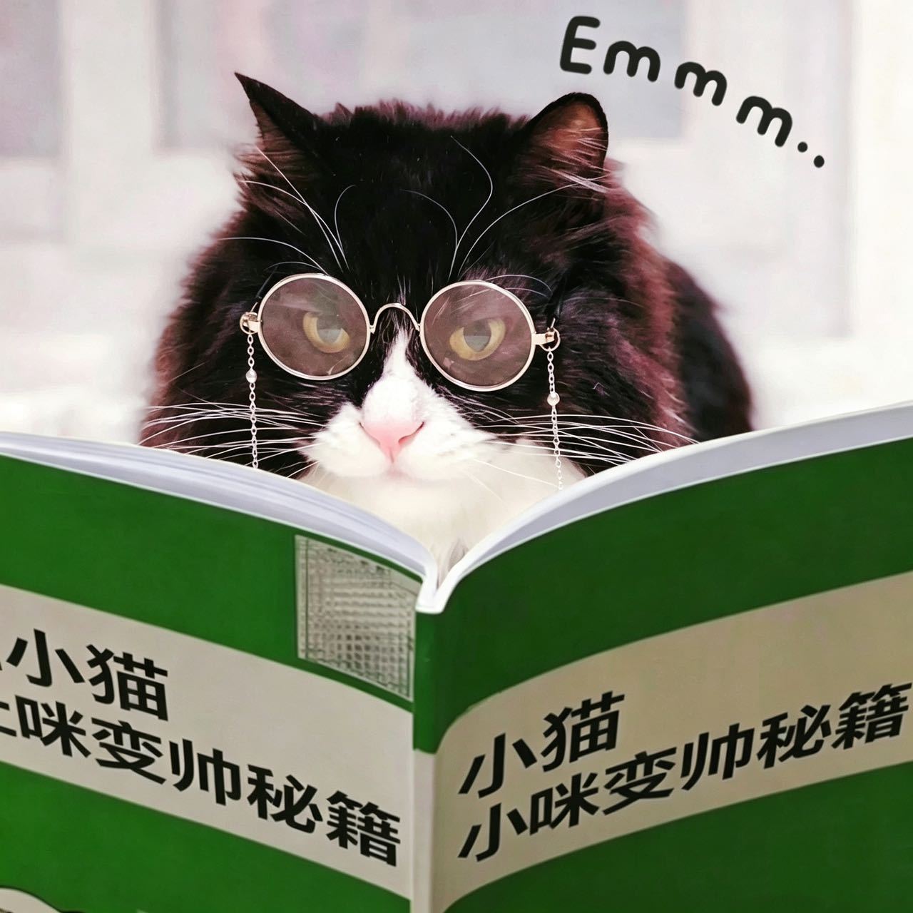 熟悉萌主的朋友都知道，家里的毛孩子们都是快十岁的大猫咪啦✨很多人好奇，甜心宝宝怎