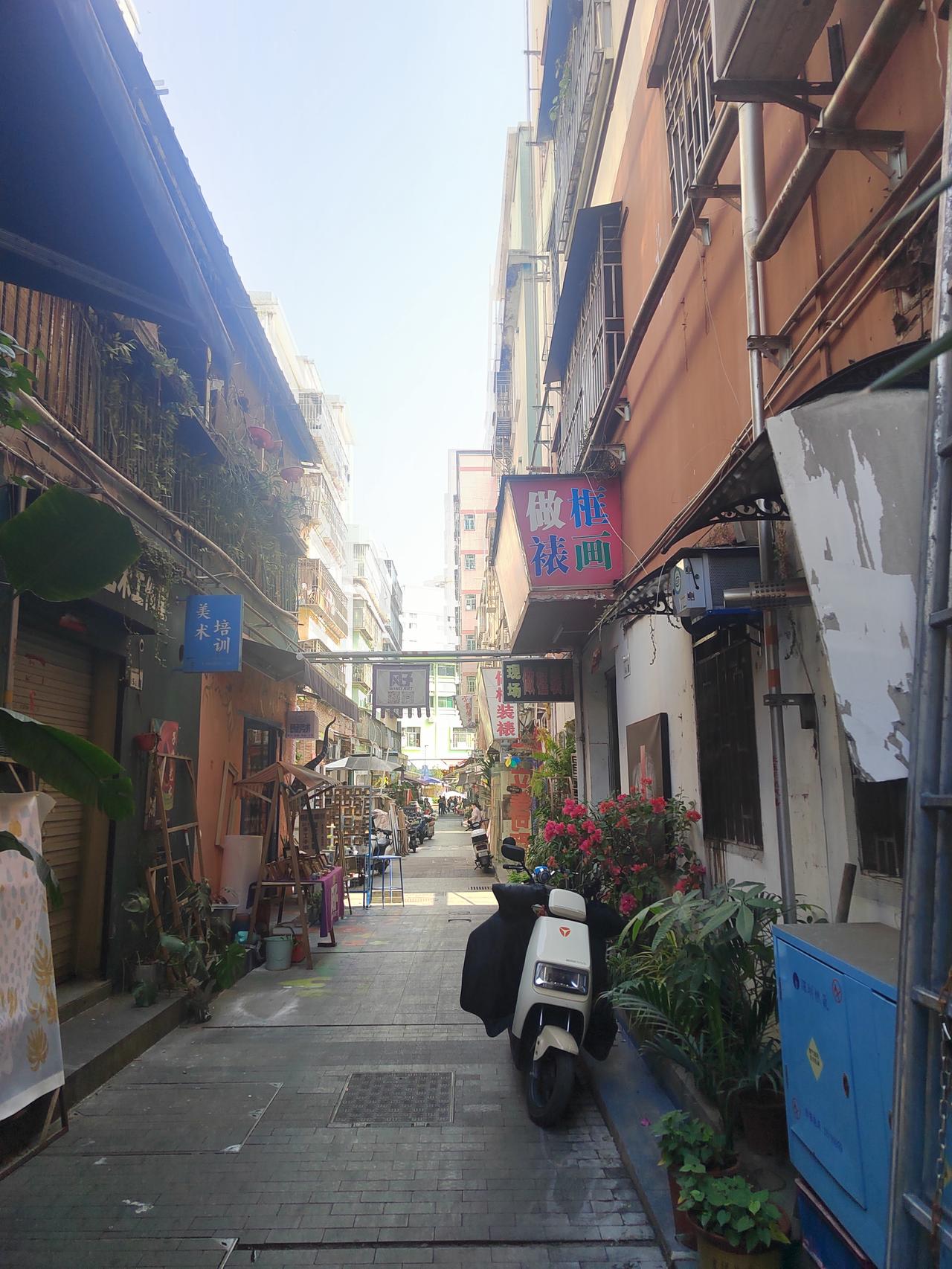 大芬村这里已优化，而闻名全国。看到这里一到春，很多人都搬出去了，看到这种老房子，