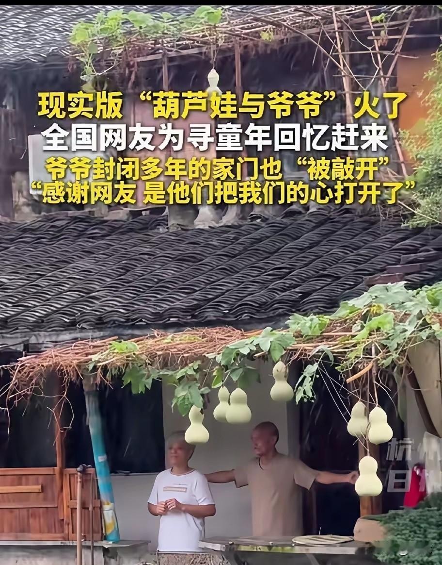 浙江绍兴书圣故里的老巷里，最近出了件暖心事。75岁的陈爷爷种的葫芦结出7个大葫芦