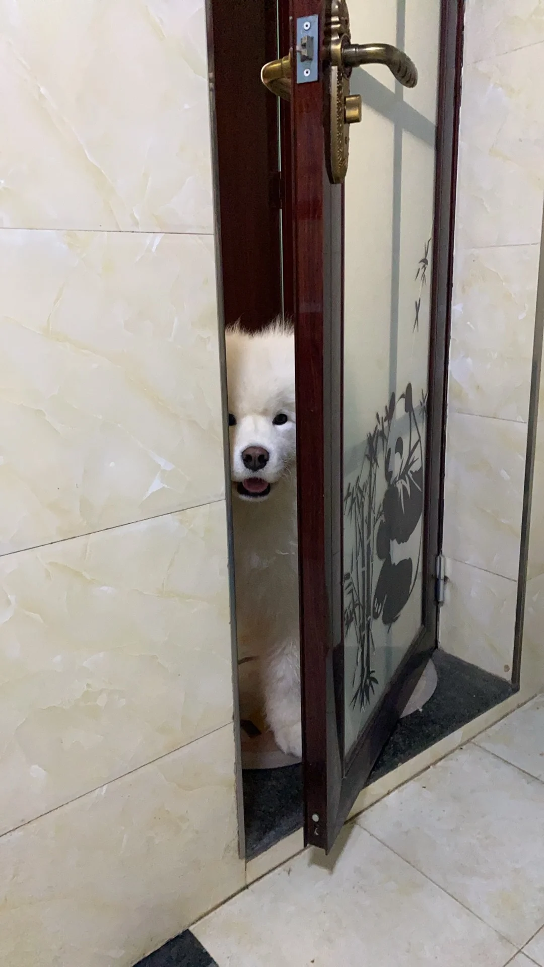 偷看我！好可爱好可爱！！！