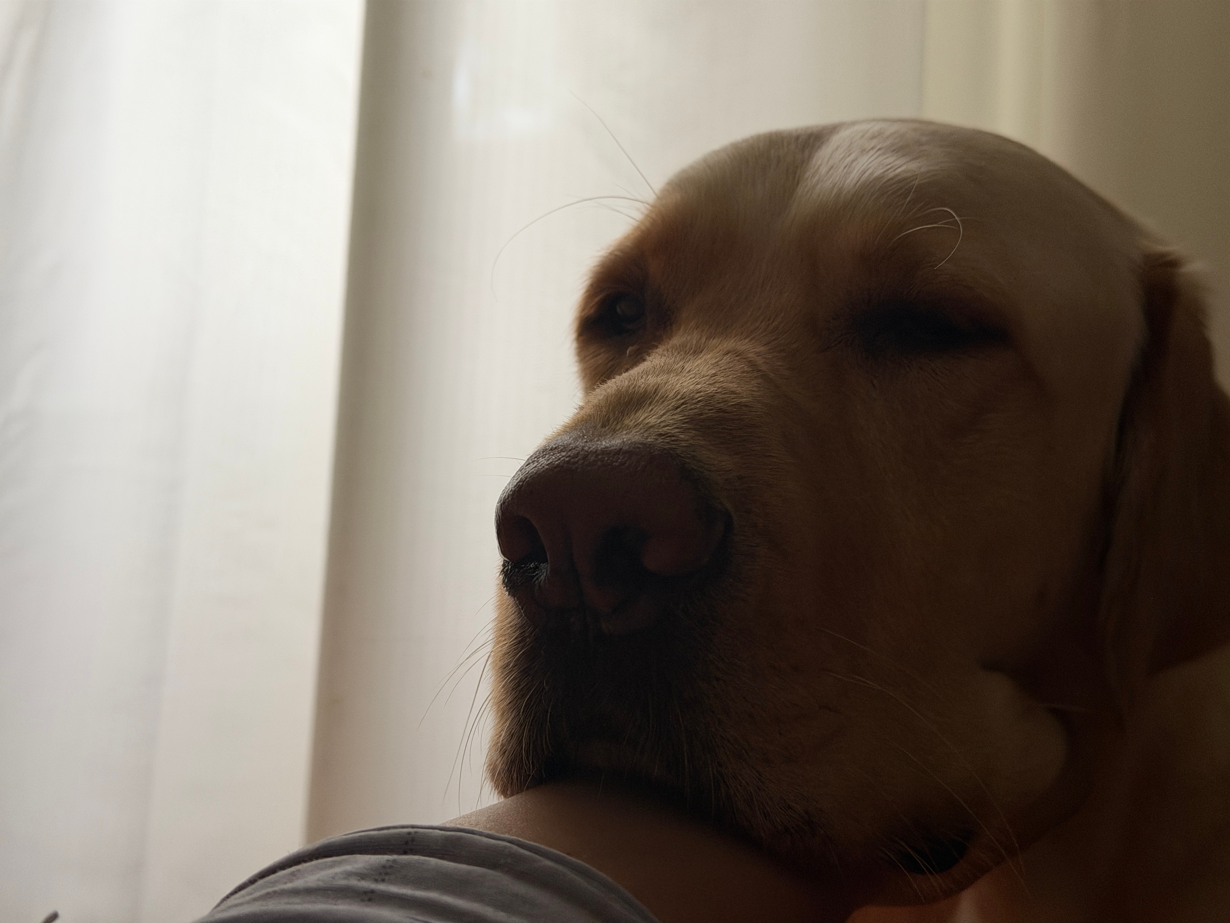 早广州也开始降温了，嘎嘎冷起来就看到U23男足进了决赛，好样的建议直接换掉国足现