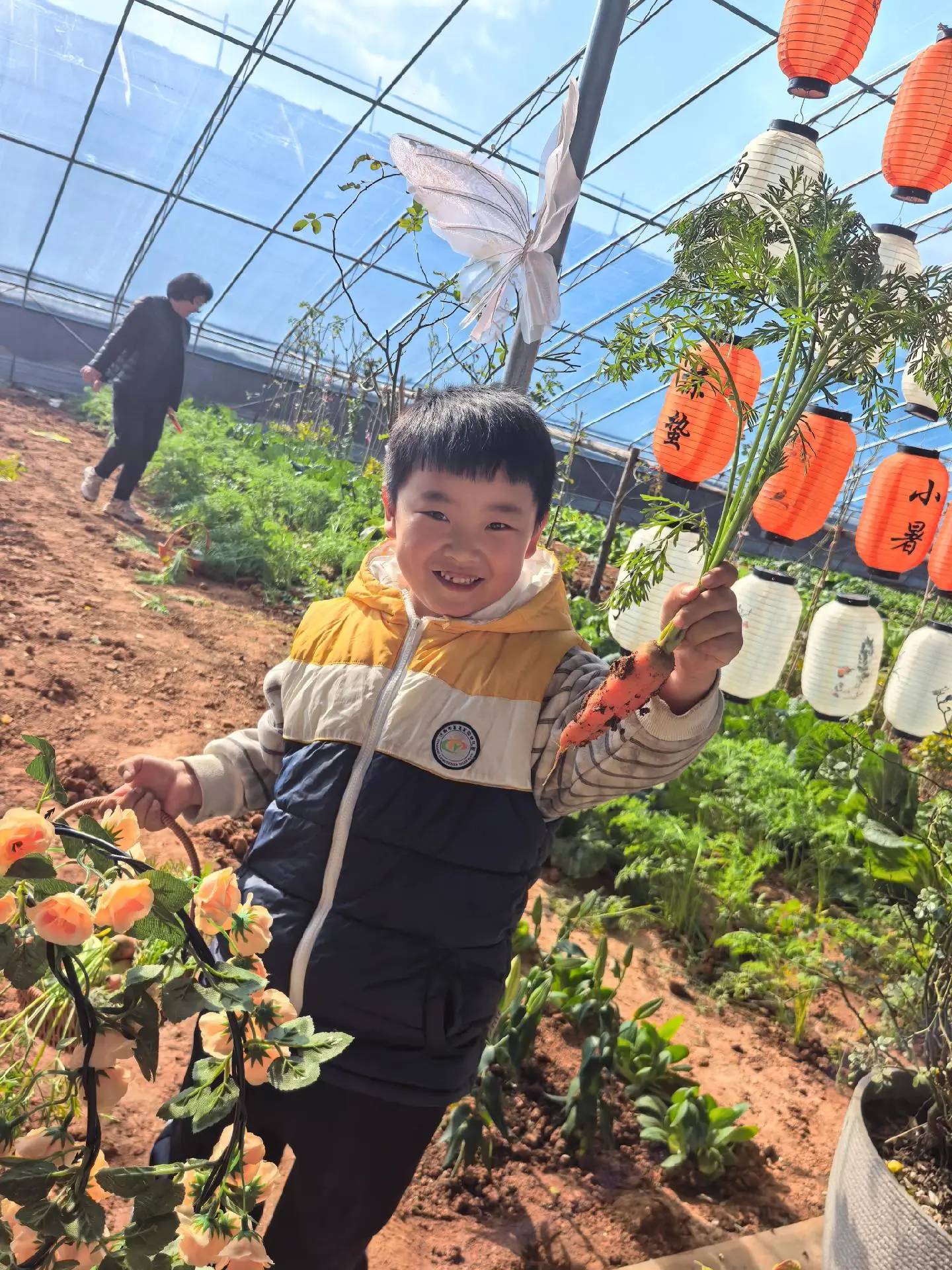 干活小能手 采摘采摘啦 孩子的乐趣