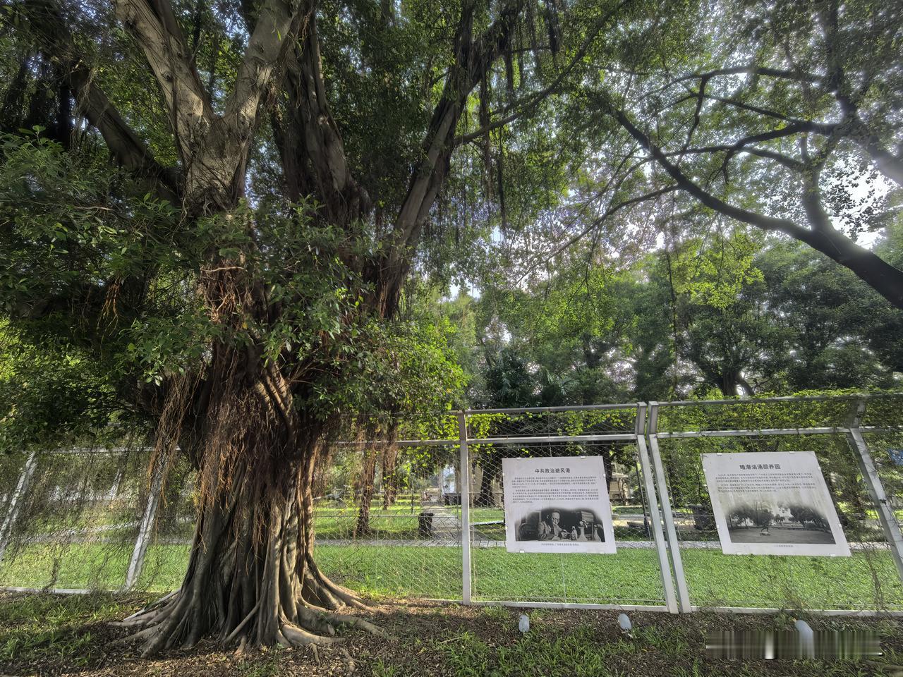 二沙体育训练基地
博主打卡二沙岛
在二沙环岛碧道的尽头，是二沙体育训练中心，许多