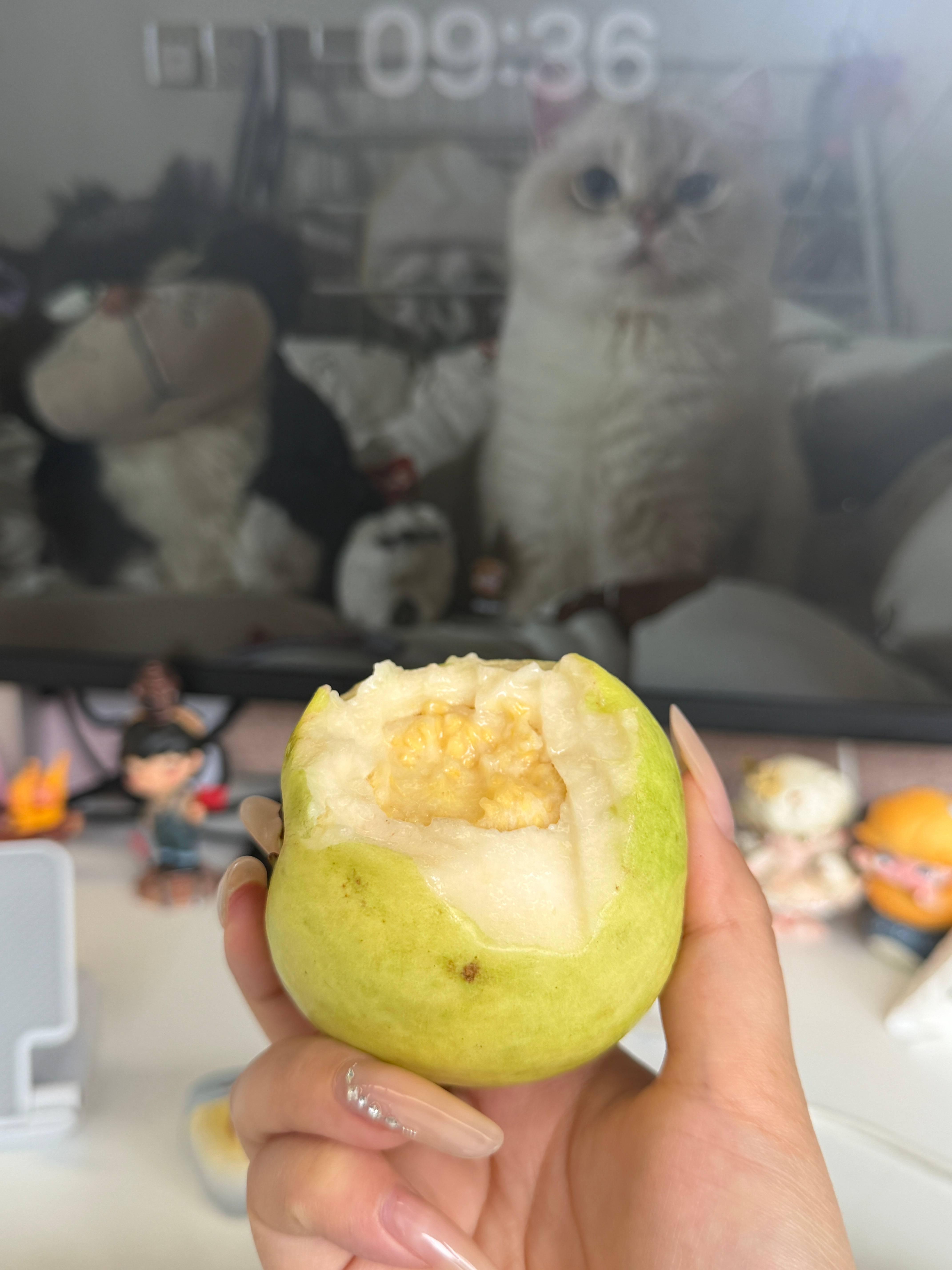 强烈推荐大家都去尝尝芭乐，以前买的可能都不对，这次跟着一个喜欢的博主入手了一箱，