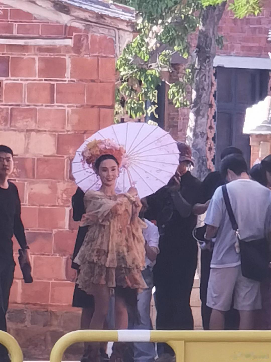 张柏芝一路繁花一路拍原来张柏芝也爱用镜头留住美好！遇到好看的风景就秒掏手机，也太