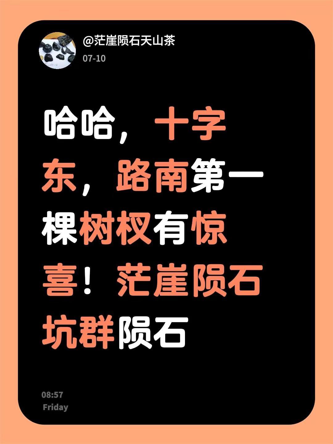 我回复了@夏天 的评论：哈哈，十字东，路南第一棵树杈有惊喜！茫崖陨石坑群陨石