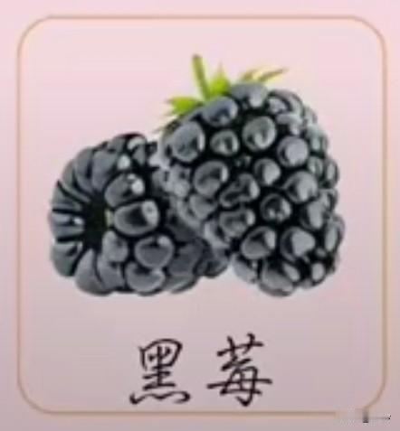 采桑子58·黑莓
       玄珠攒就玲珑颗，墨沁冰绡，翠蒂轻翘，疑是星娥坠碧