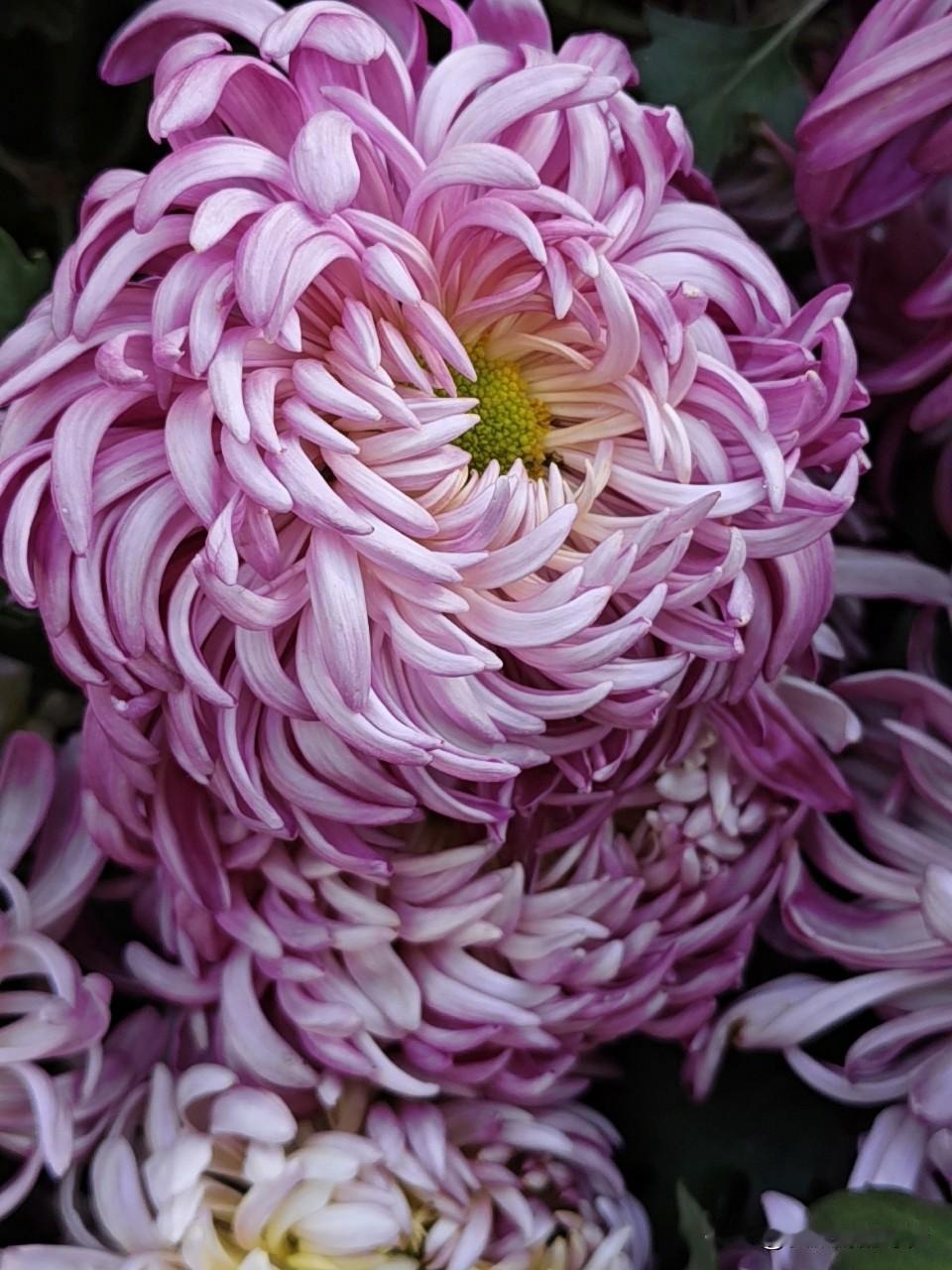 今年最舍不得删的照片