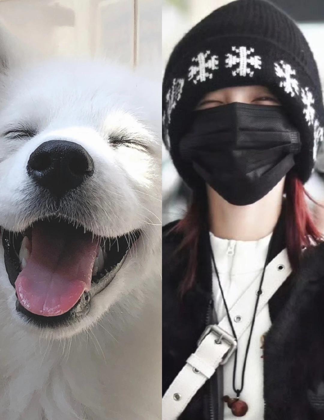 没有宋雨琦对不上的狗1️⃣8️⃣1️⃣
感觉口罩下面就是这样的表情啊～
好久好久