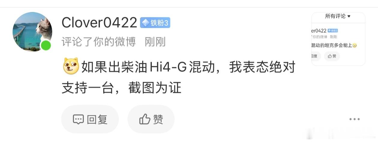 Hi4-G那是放在柴油重卡上的混动啊。放在乘用车上没意思，也没意义。CC在乘用车