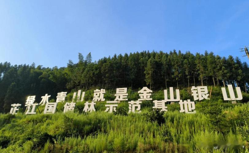 加快国家储备林建设，让林业资源成为乡村振兴绿色引擎！
 
践行“绿水青山就是金山