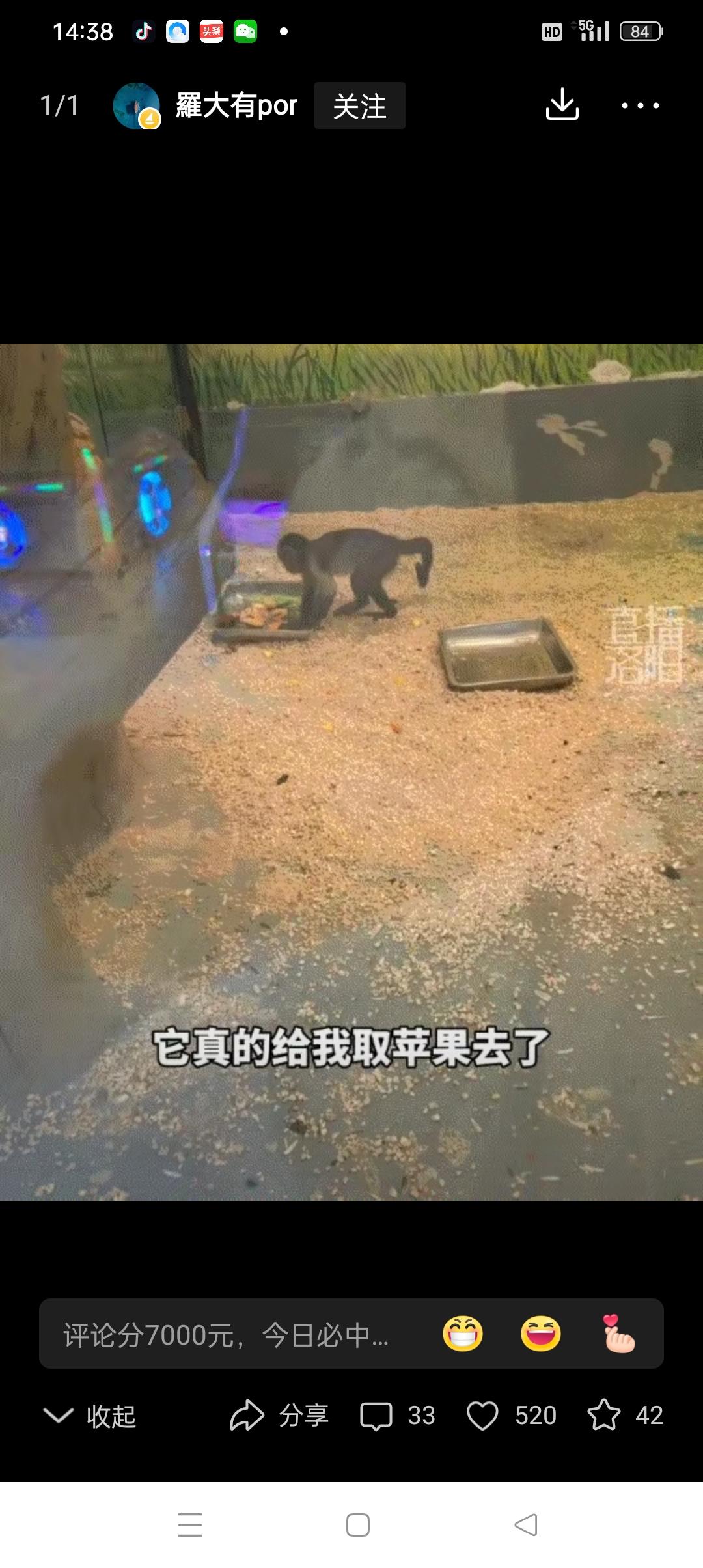 万万没有想到，内蒙古，一女子去动物园看猴，期间就发现一只单独关着的小猴子特别可爱