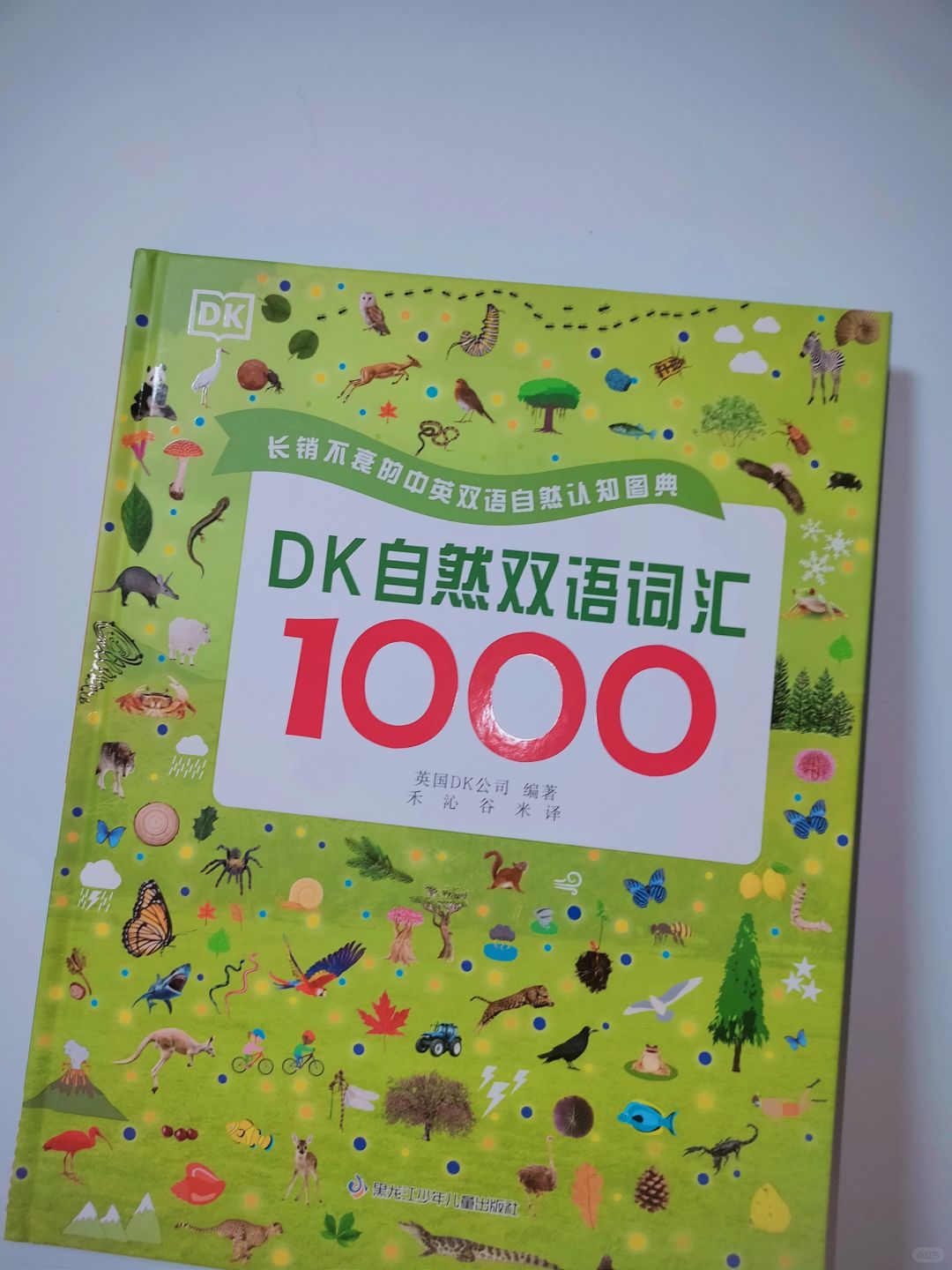 超有趣的双语拓展DK！🌸