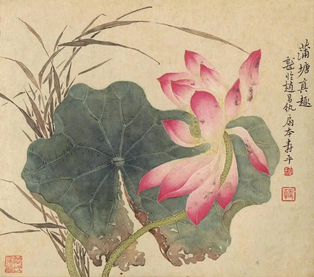 “ 前路漫漫，自有花开”

荷花代表着，整个夏天的欢喜。