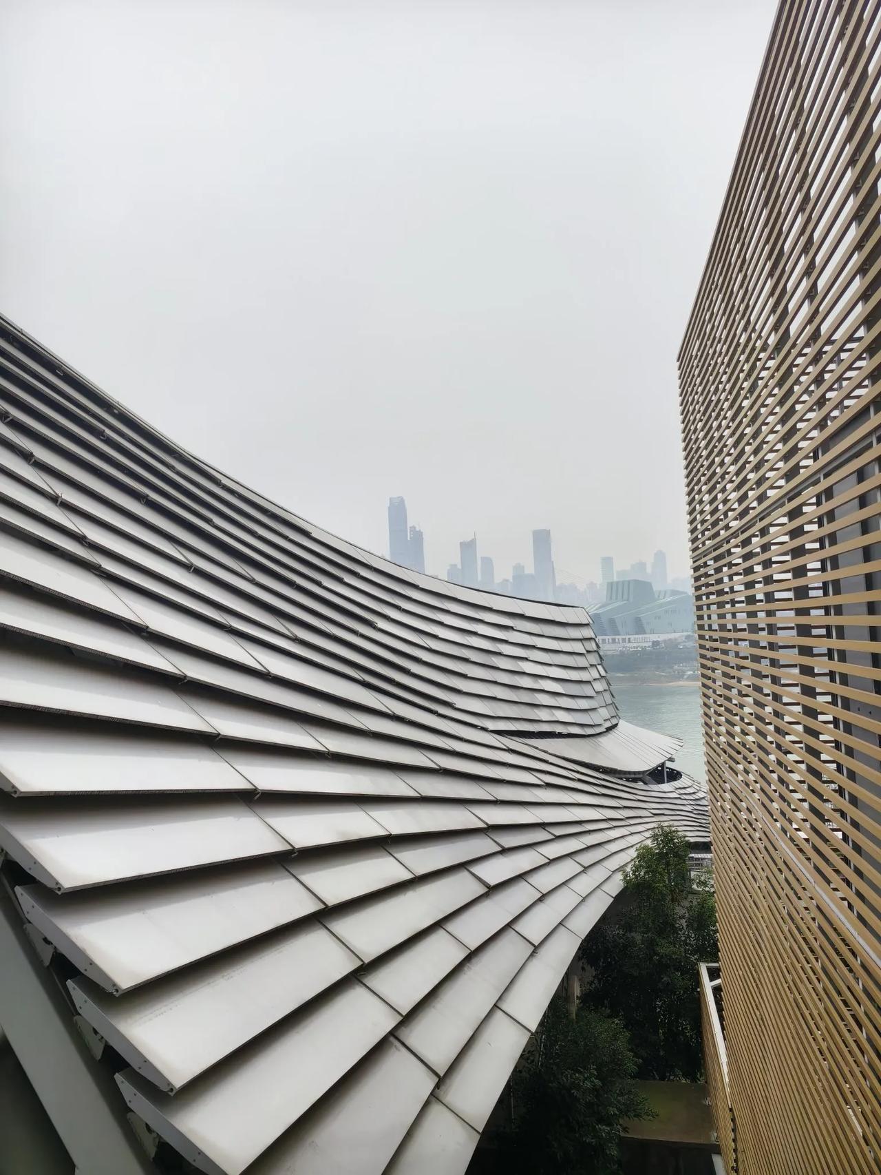 看分会场
        ——南木子
打卡春晚分会场，
选址南岸看两江。
弹子石