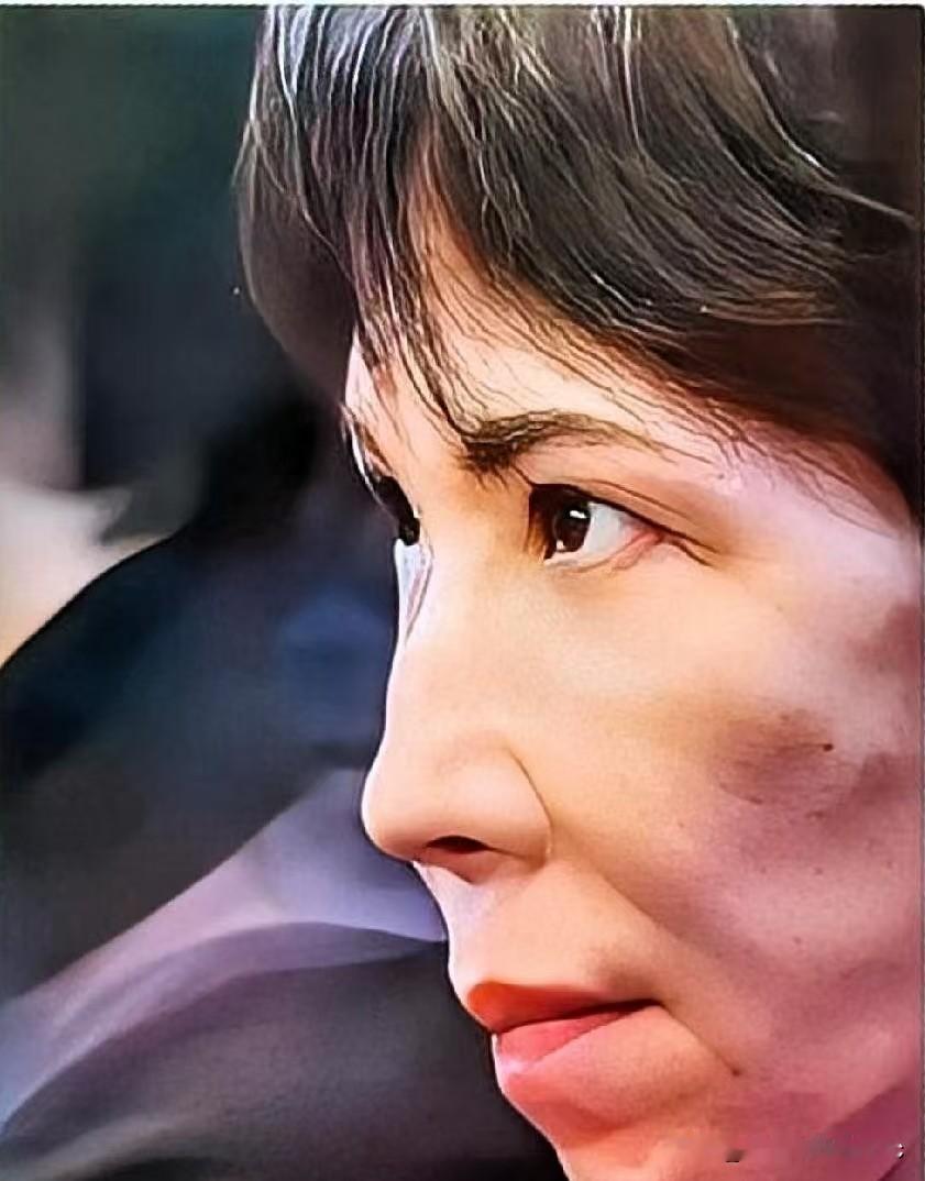 看到最近越发离谱动作，估计高市会一直“强硬”到底，不收回涉台挑衅言论还不但往前暴