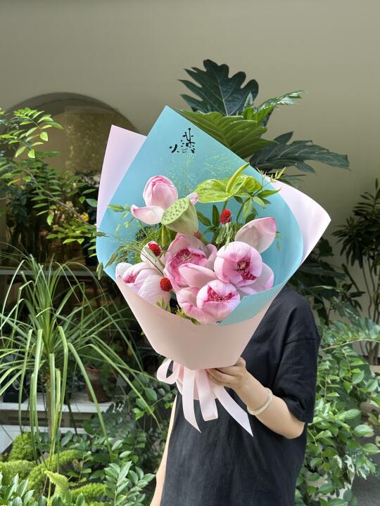 夏天的仙子，好运莲莲🪷