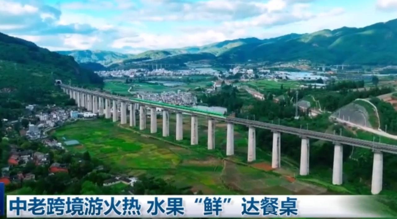 经贸赛道同样硕果累累，老挝榴莲、山竹搭乘冷链班列入境，在磨憨查验区经过工作人员快