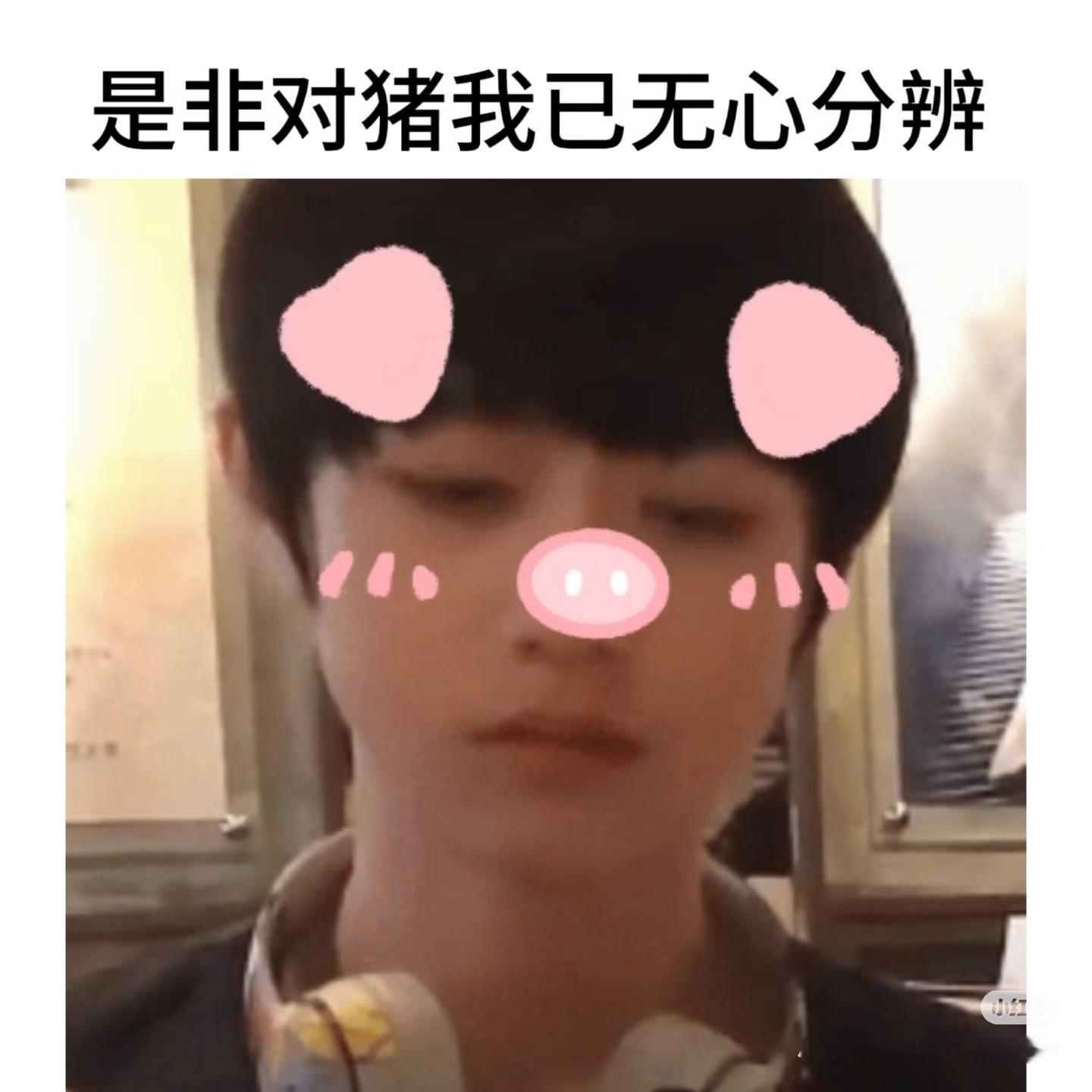 分享图片 ​​​