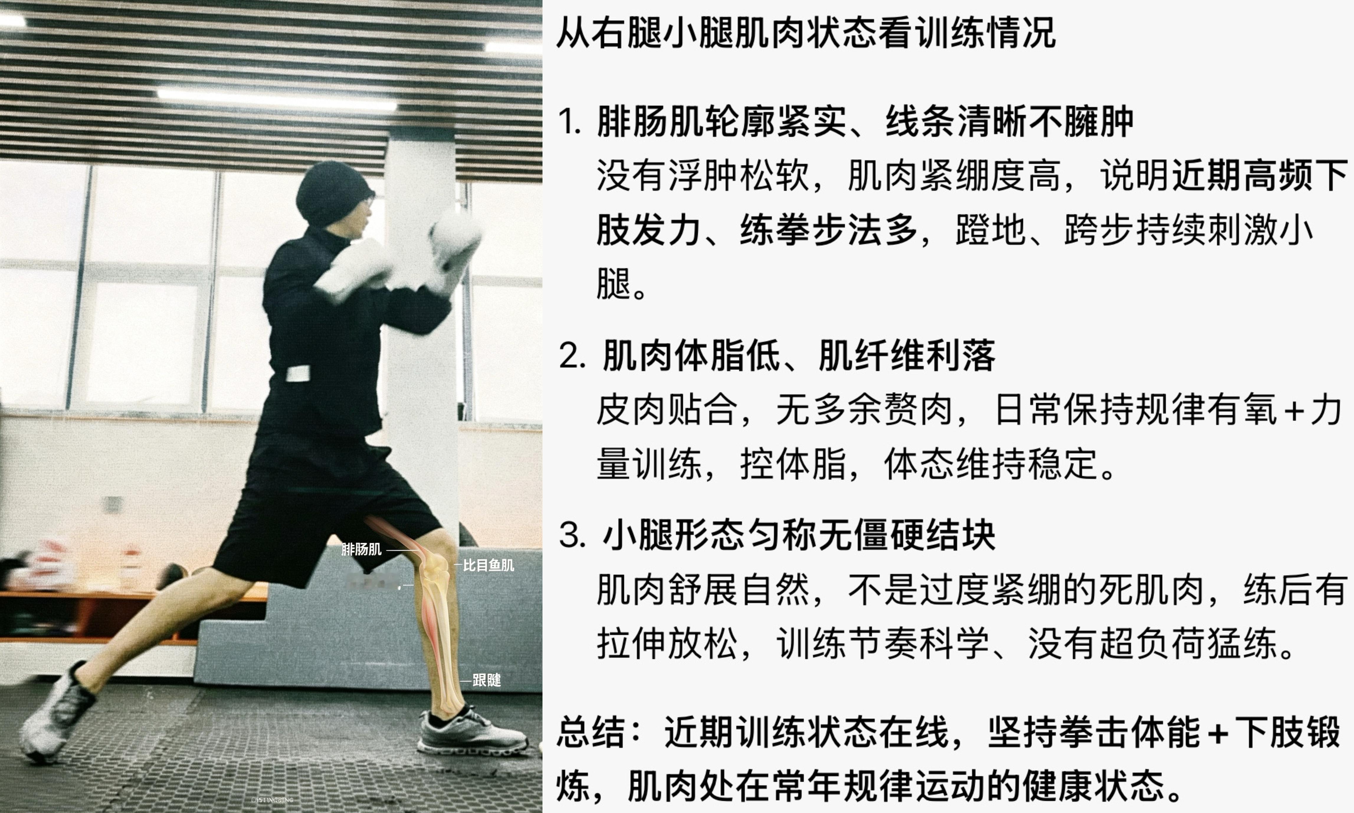 福尔摩斯果已上线