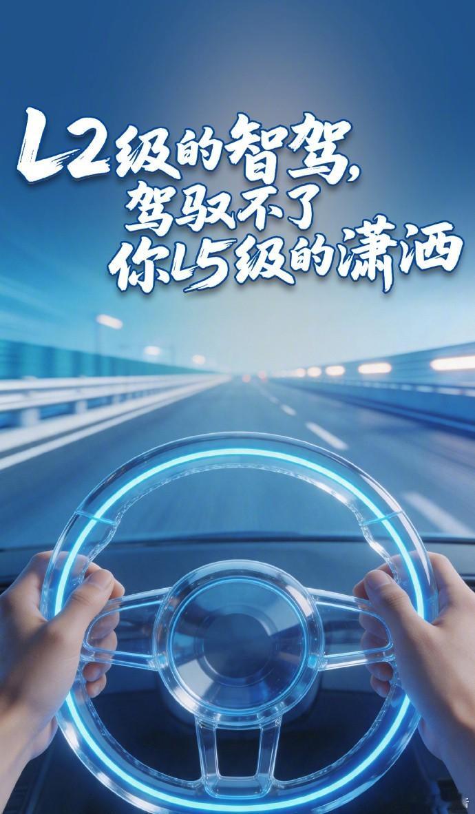 L2级的智驾驾驭不了你L5级的潇洒温州一车主高速开启L2辅助驾驶后放任驾驶、肆意