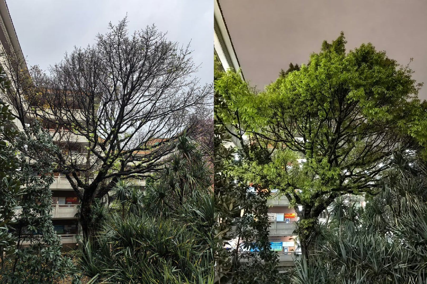 白驹过隙，人生如戏。早晨老友记！ ​​​