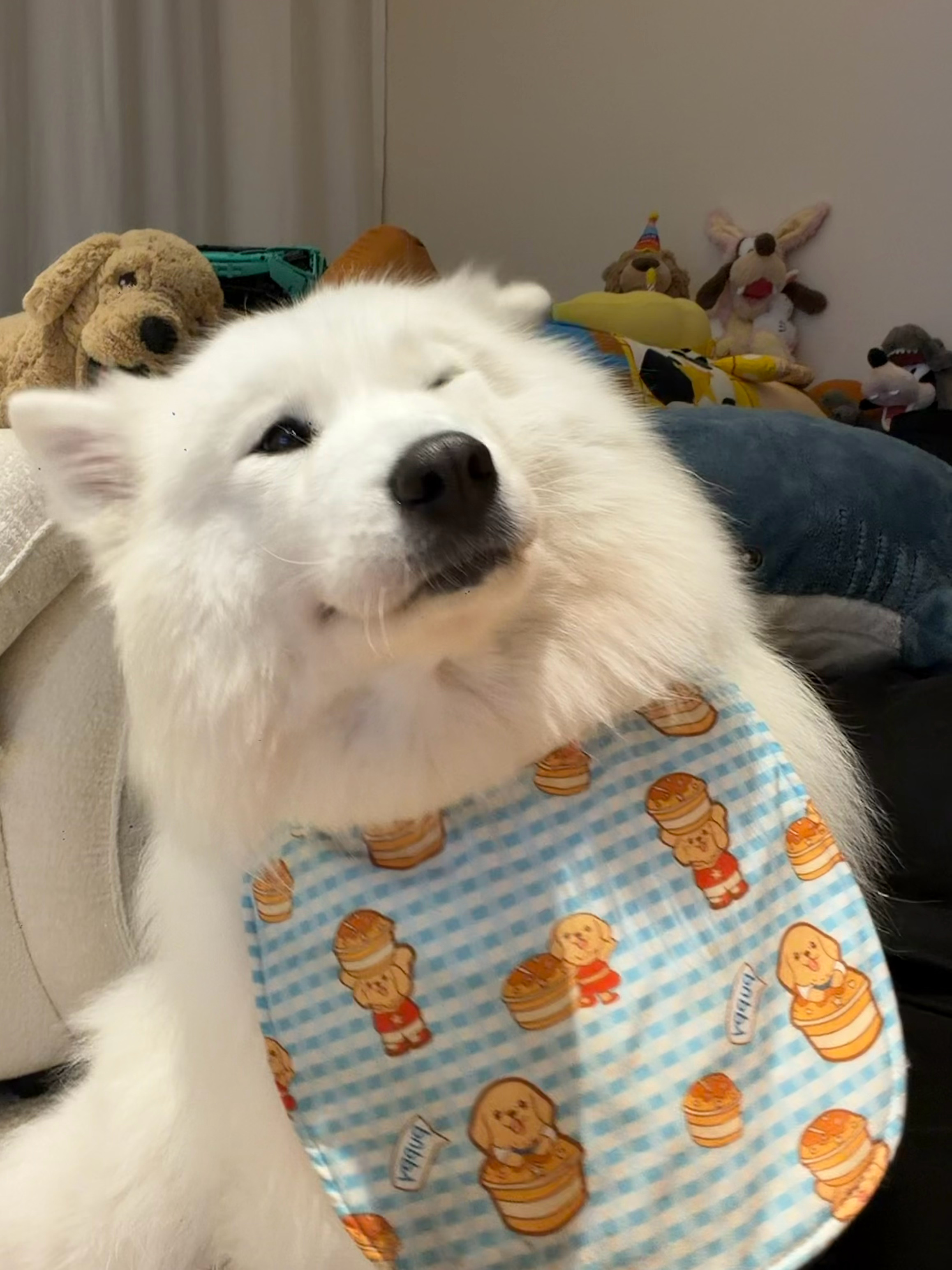 ？ ​​​