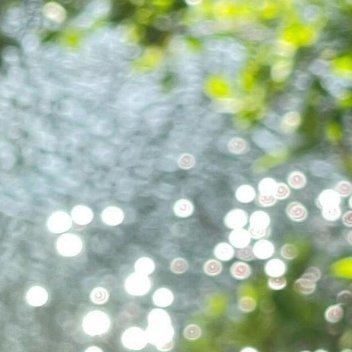 每日一善每日一善 🌞阳光信用 脚踏实地，比什么都重要，天下没有不劳而获，更没有