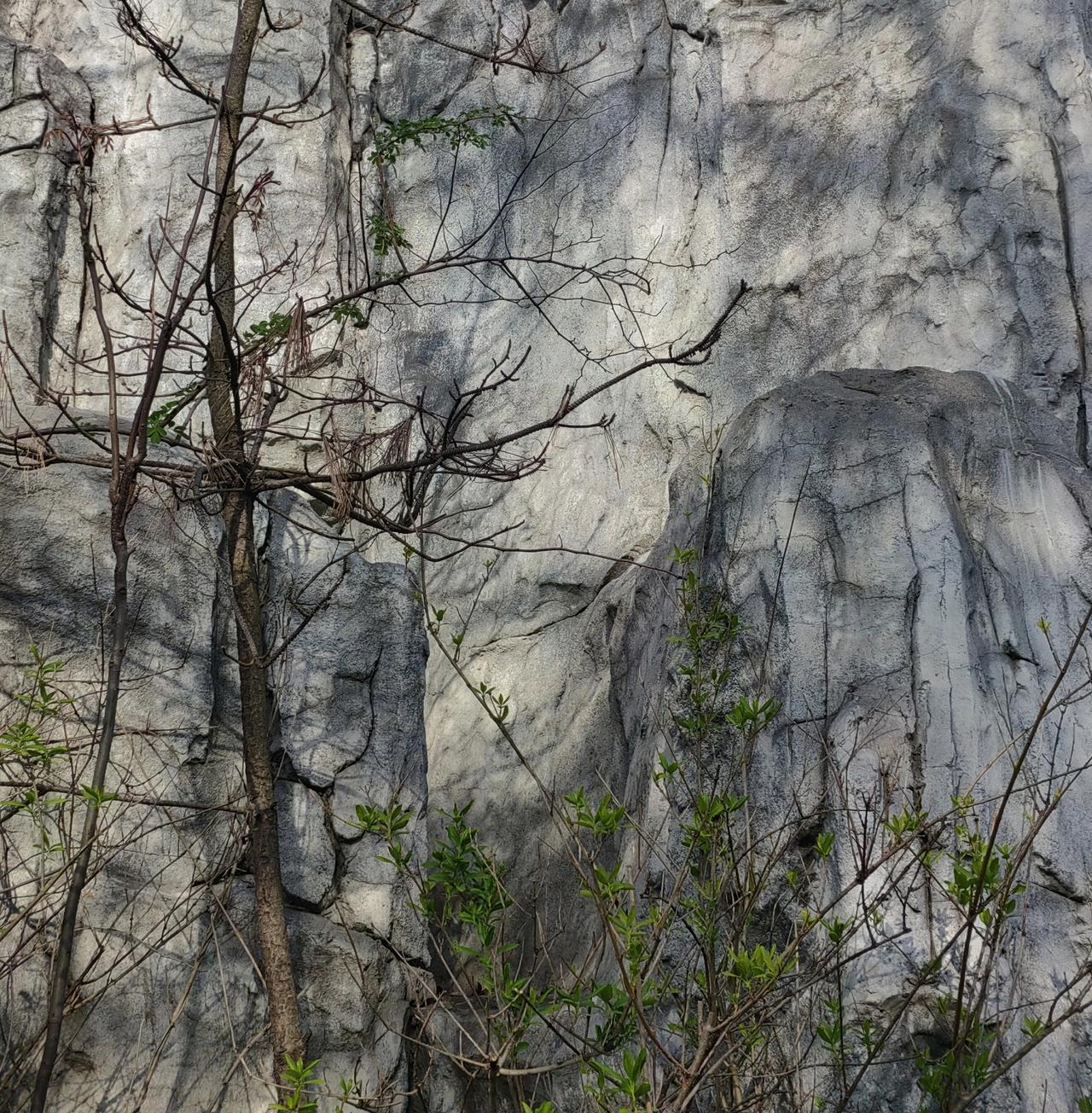一个二十多岁的小伙子刚才在院子里炫耀：早上六点多乘坐地铁时吃东西，把同车厢里两三