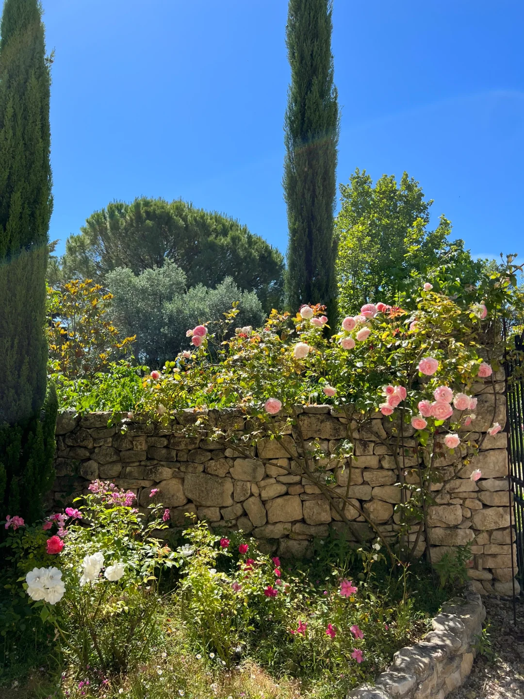 南法🇫🇷泳池花园百年庄园简直和夏日绝配