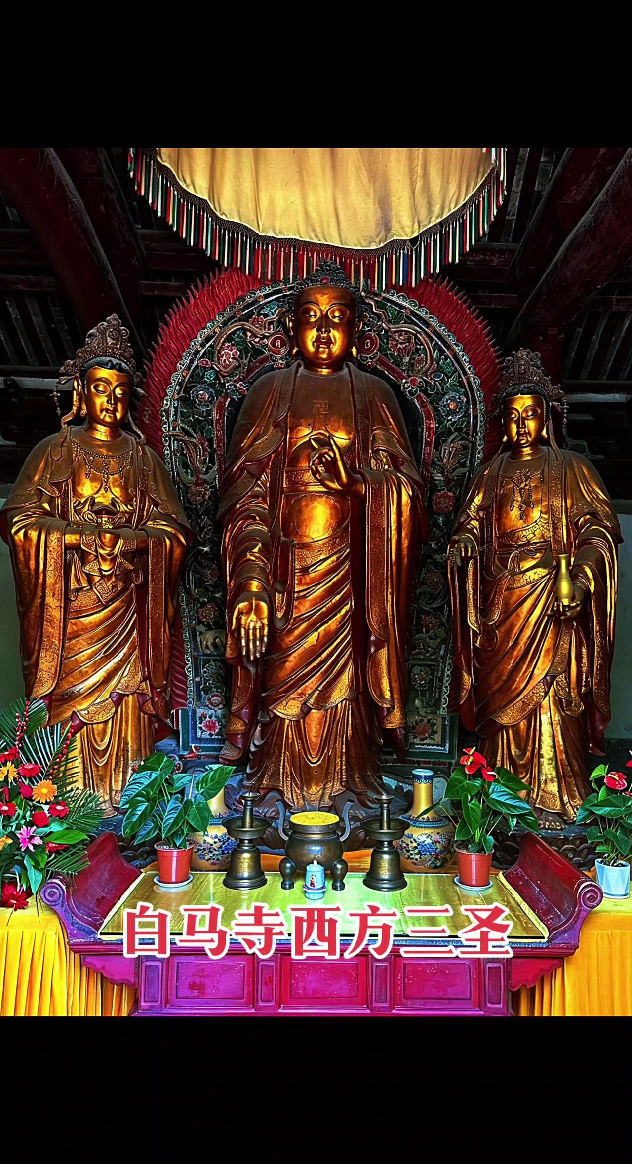 洛阳白马寺，千年古刹西方三圣
华夏第一古刹，端坐世间最清净庄严
 
正中阿弥陀佛