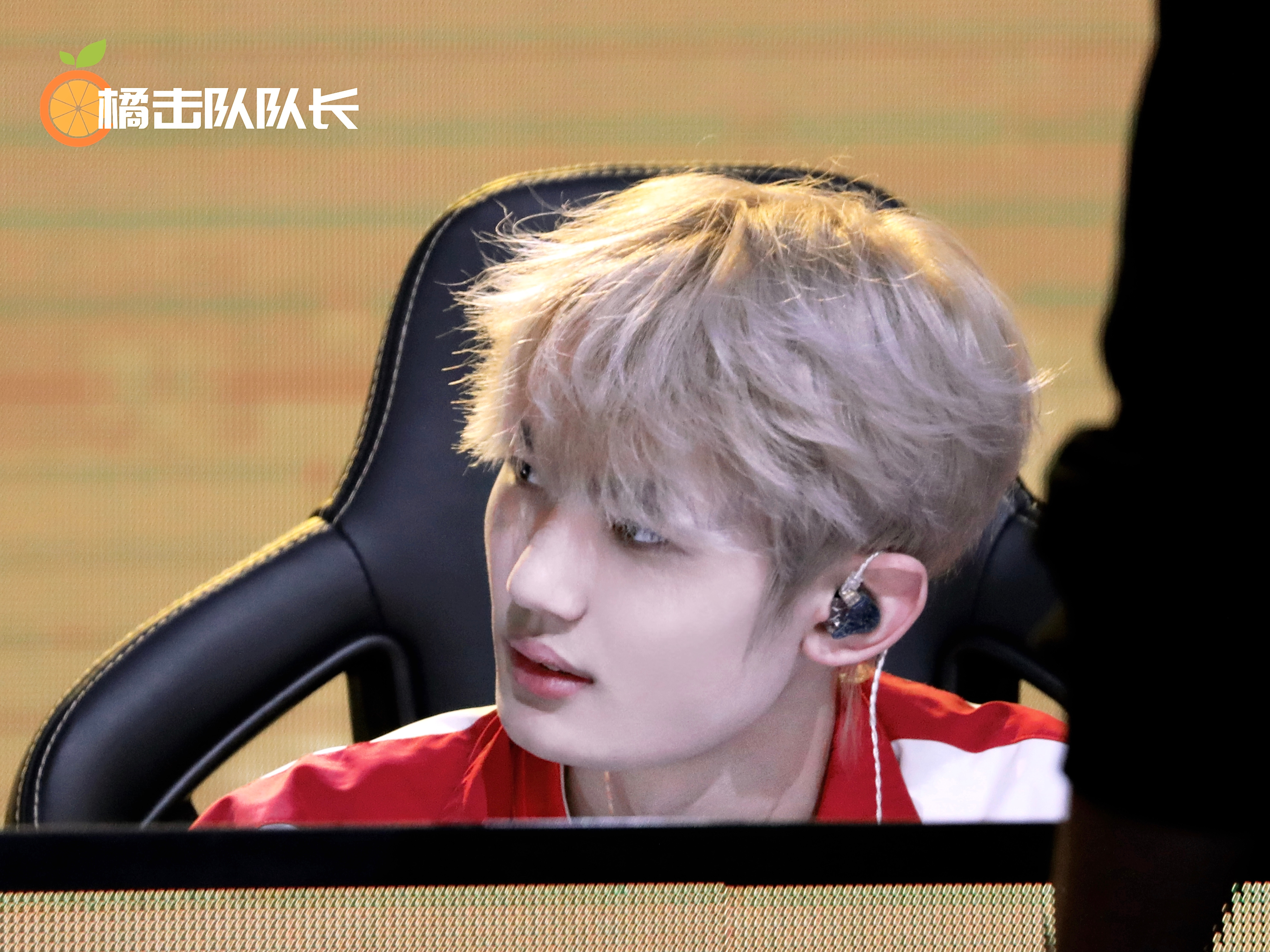 子枫的枫树林  意气风发pel春季赛第六周周决赛2026pel春季赛