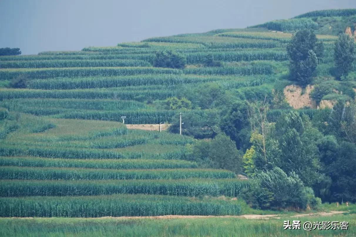 半个月前曾经发过飞机上拍的黄土高原的梯田，昨天实地考察了黄土高原的梯田，层层叠叠