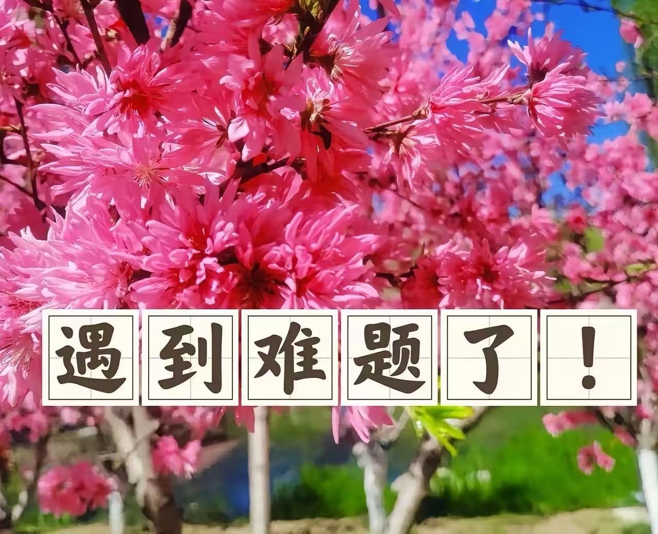 大妈退休金3500逍遥度日，儿媳甩出3个选择，直接撕碎晚年生活大多数中国老人现状