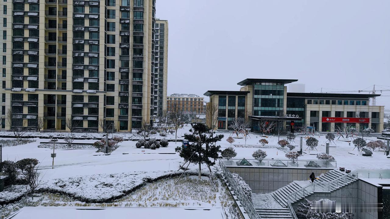 正月初十，锦绣华府小区雪景。这是这个冬季以来在石岛所下的最大的一次雪，规模和老家