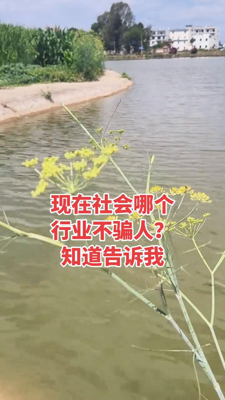 现在社会哪个行业不骗人？知道告诉我。