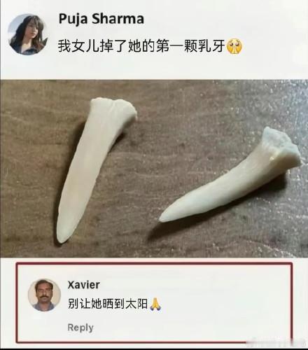 隔壁群看到的，孩子掉了的乳牙竟然是尖尖的！
       你确定是养了个人类？不